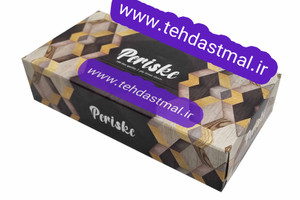 دستمال کاغذی جعبه ای 200 برگ (10 عددی)